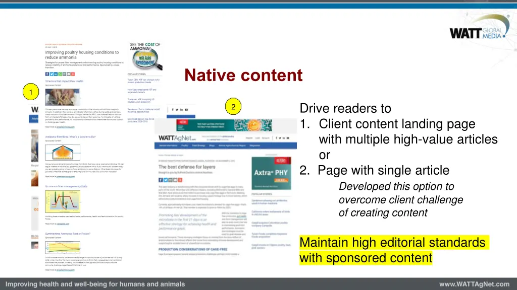 native content