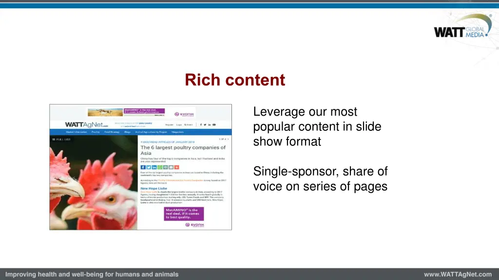 rich content