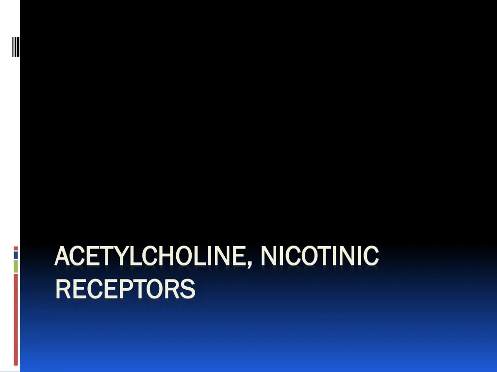 acetylcholine nicotinic acetylcholine nicotinic