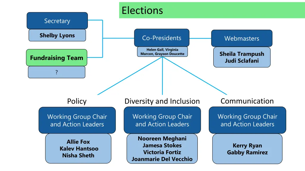 elections