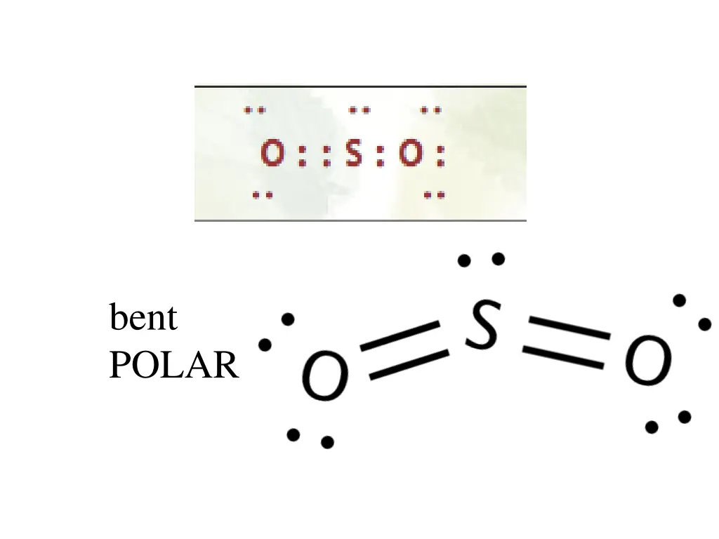 bent polar 1