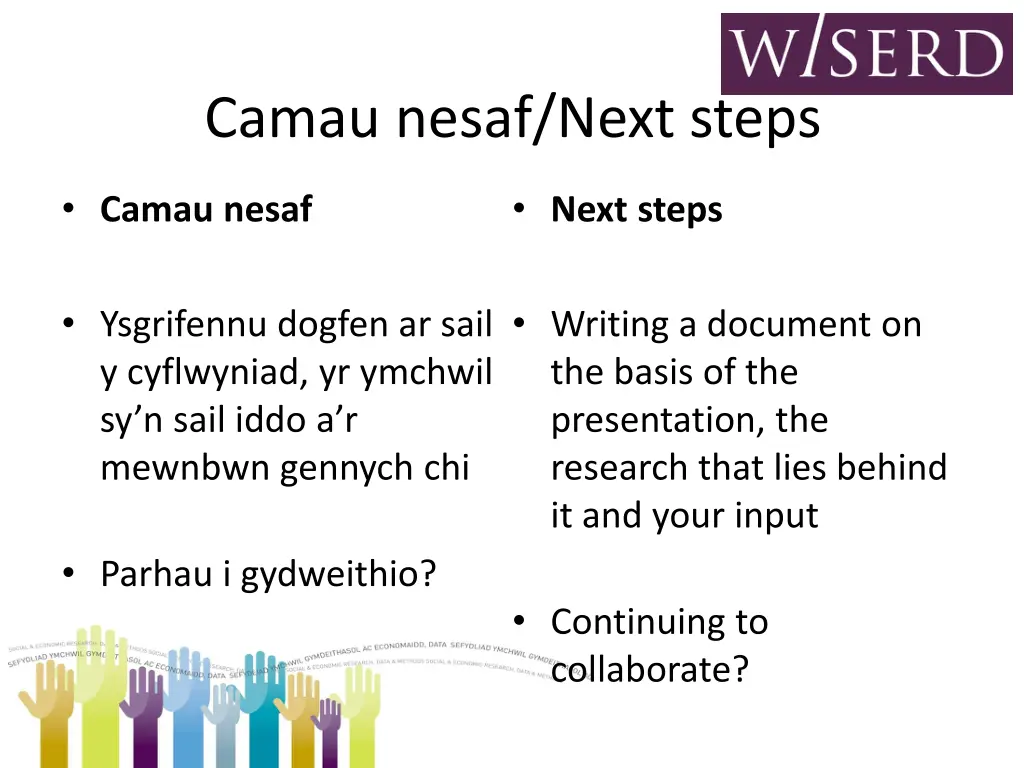 camau nesaf next steps 1