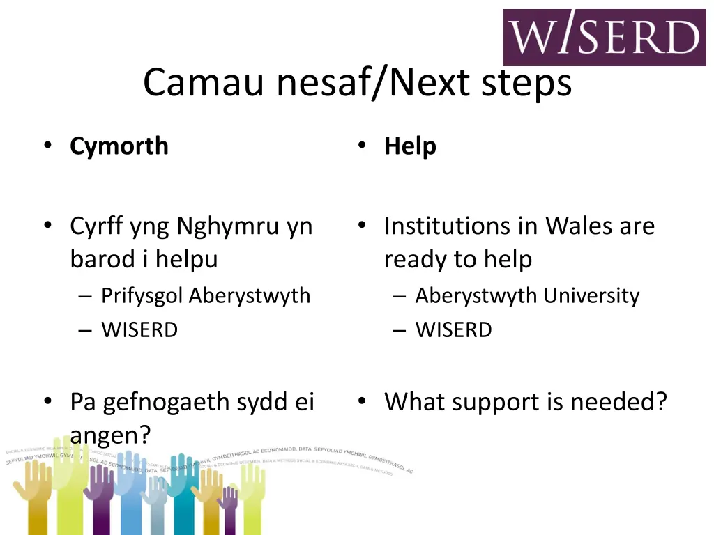 camau nesaf next steps