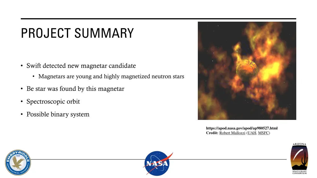 project summary