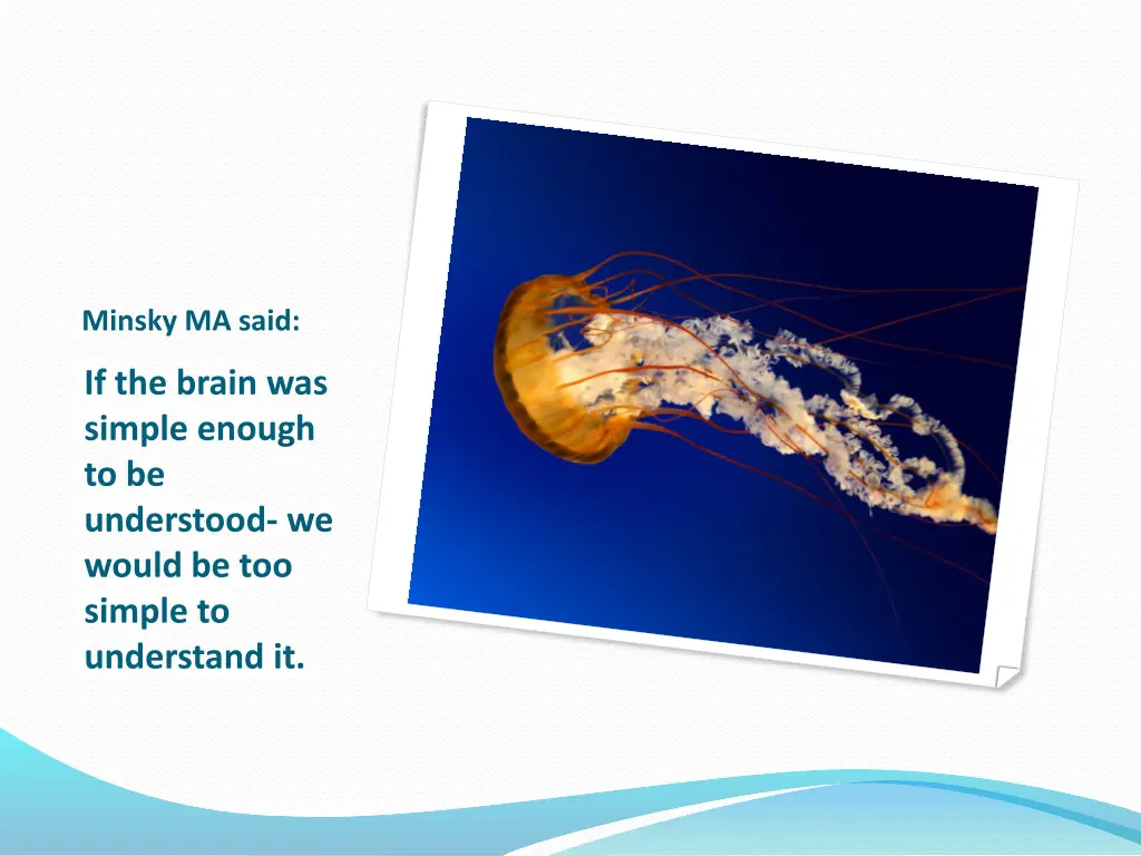 minsky ma said
