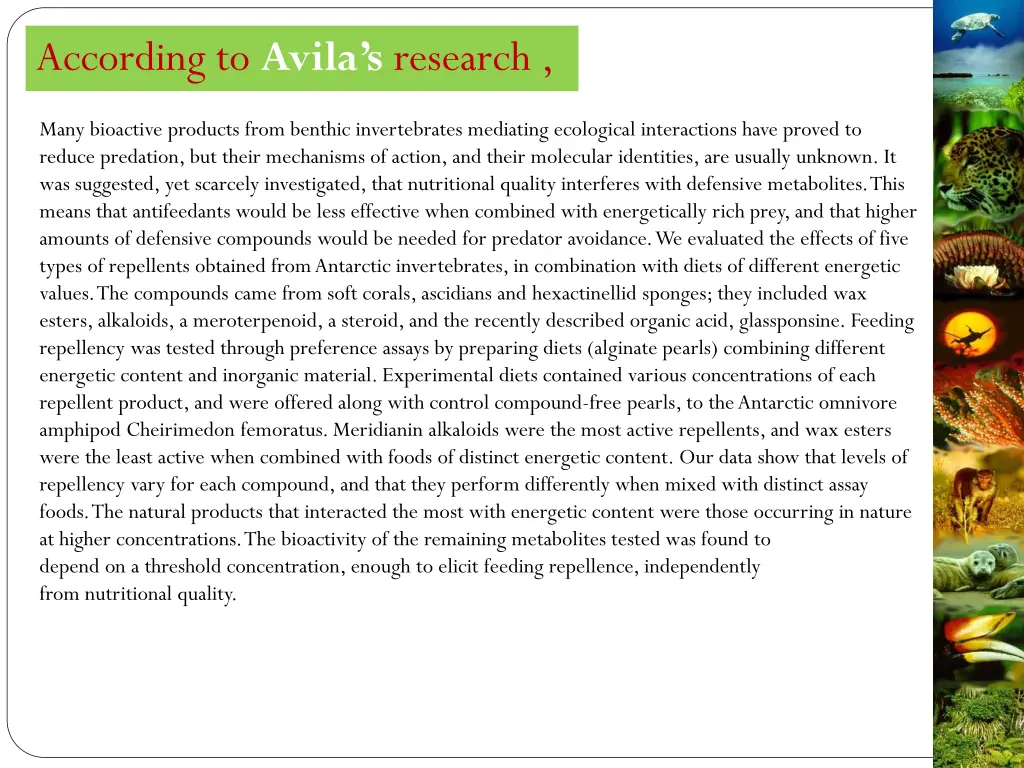 according to avila s research