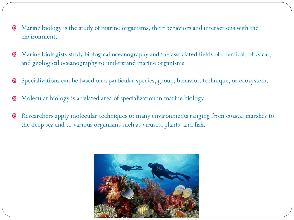 marine biology is the study of marine organisms