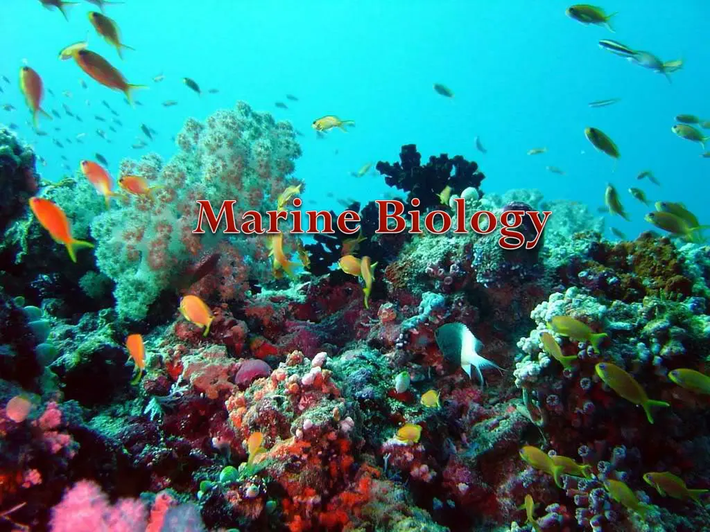slide4