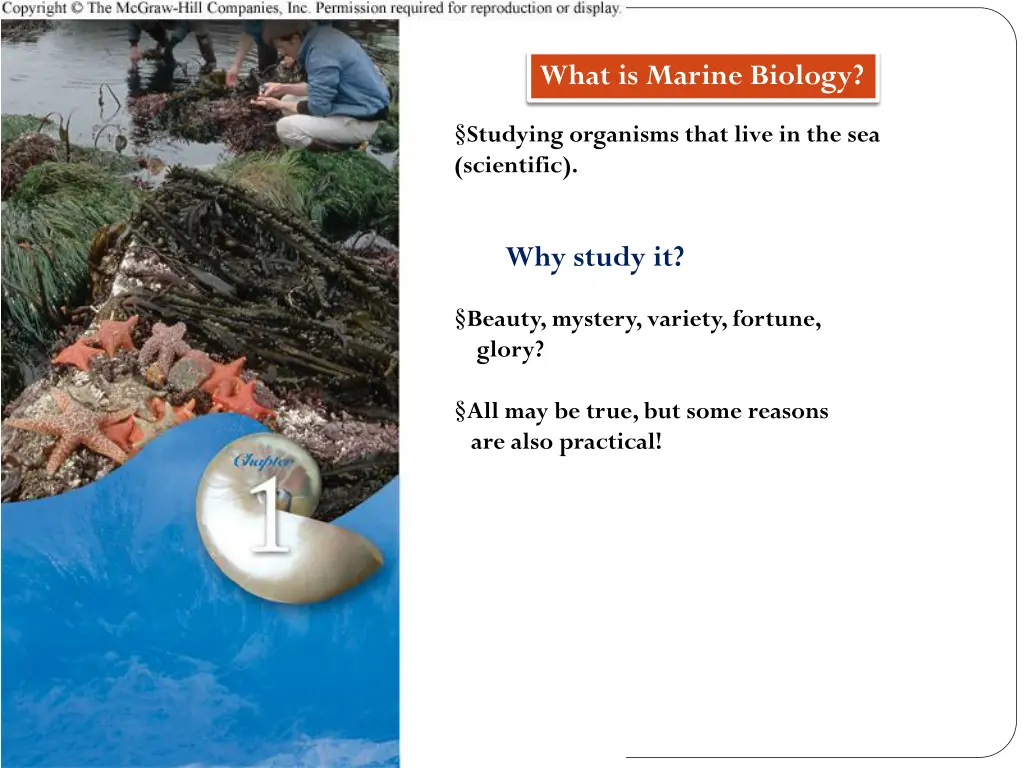what is marine biology