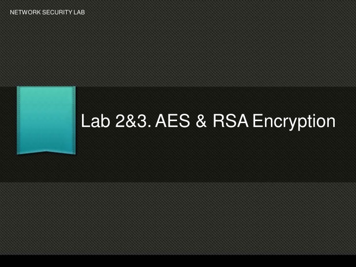 network security lab