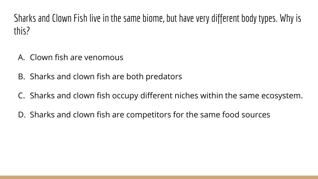 sharks and clown fish live in the same biome
