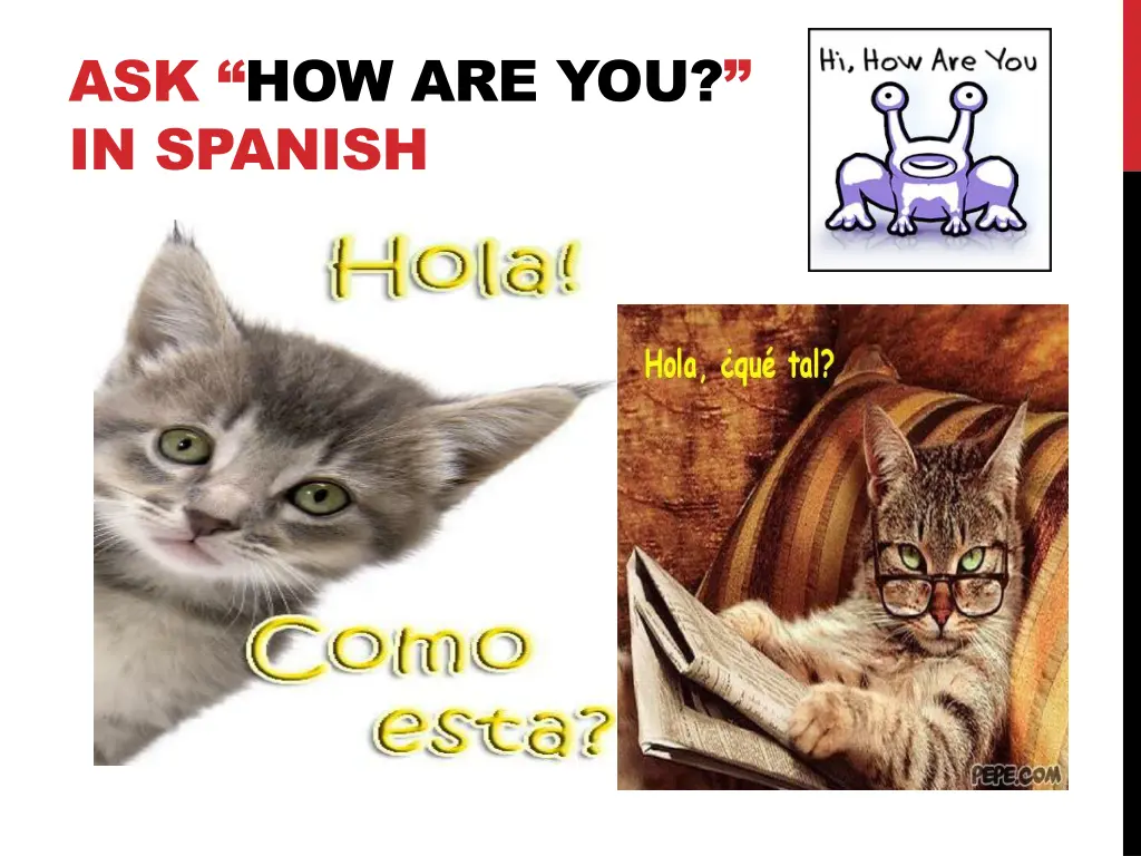 ask how are you in spanish