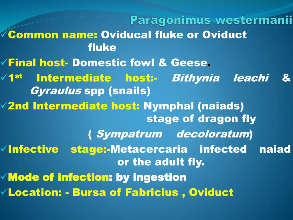 common name oviducal fluke or oviduct fluke final
