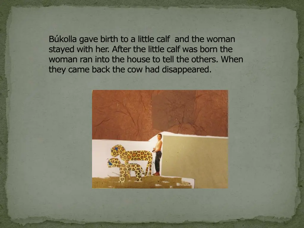 b kolla gave birth to a little calf and the woman