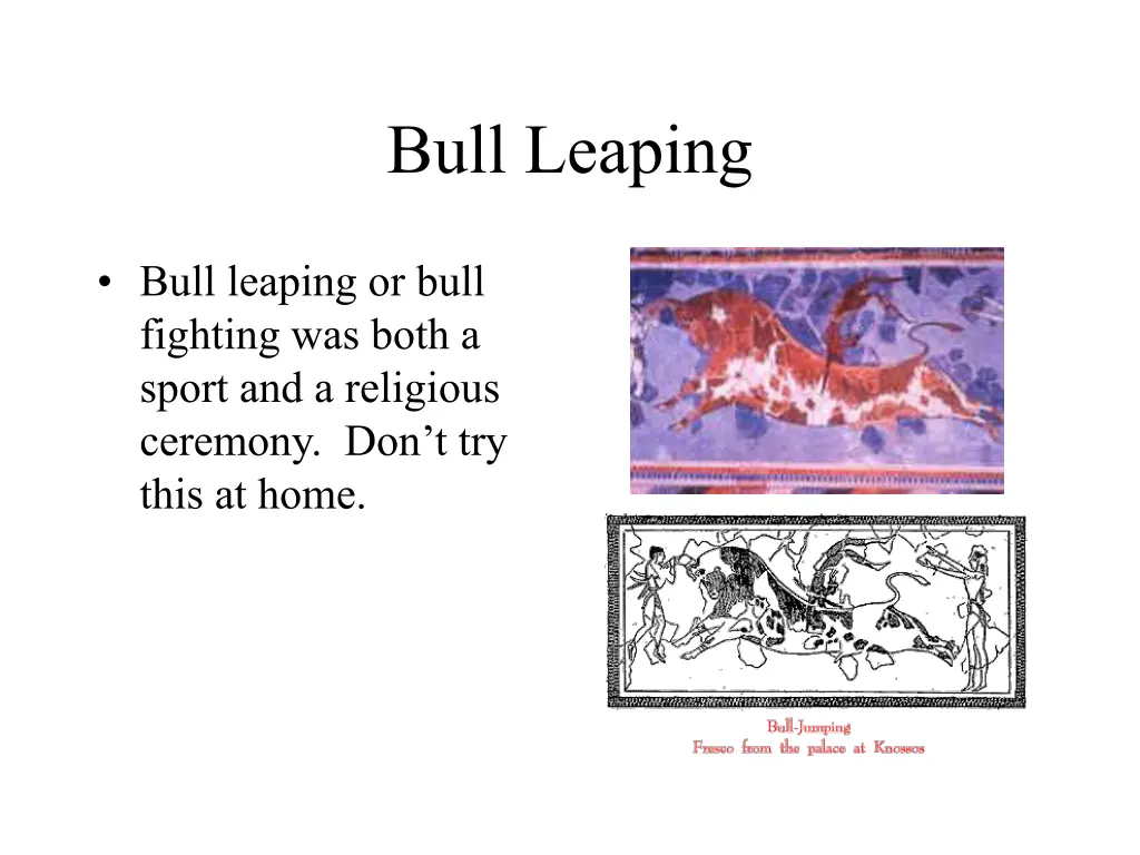 bull leaping