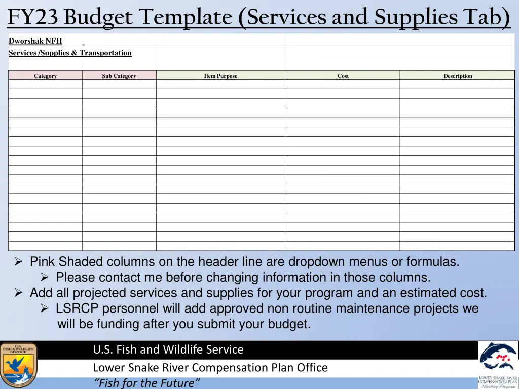 fy23 budget template services and supplies tab