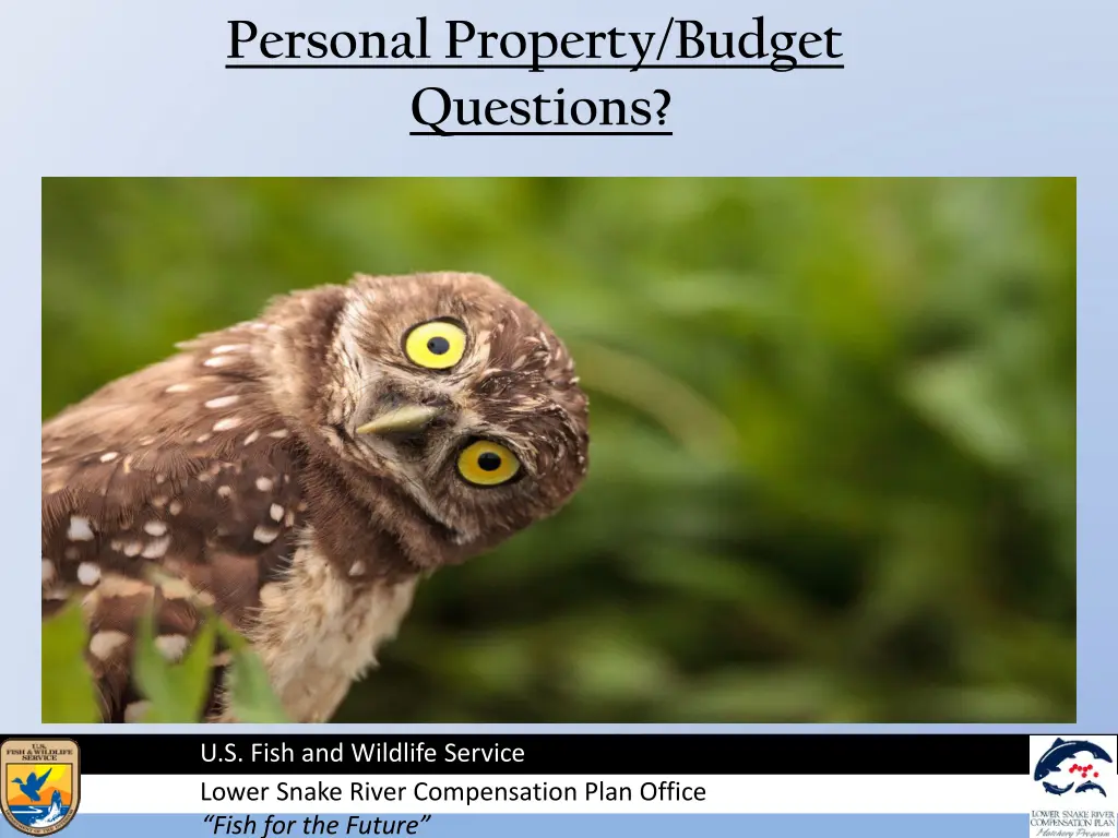 personal property budget questions