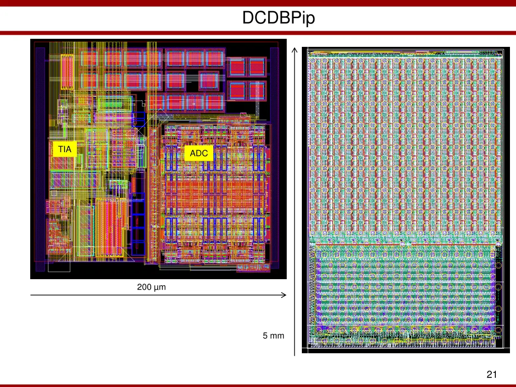 dcdbpip