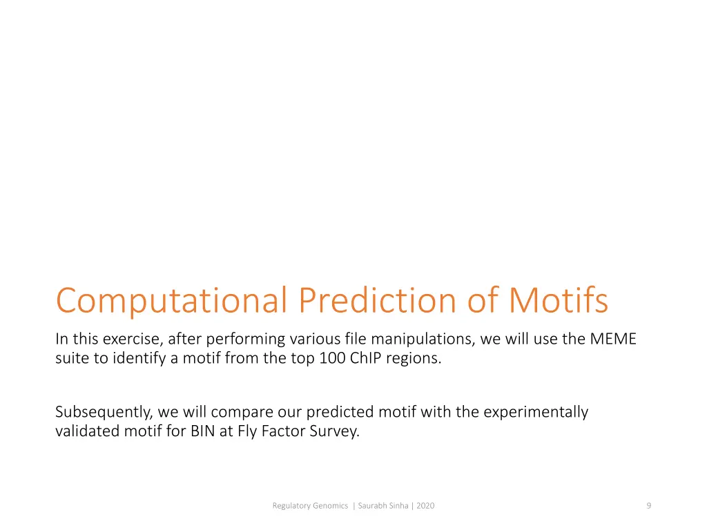 computational prediction of motifs in this