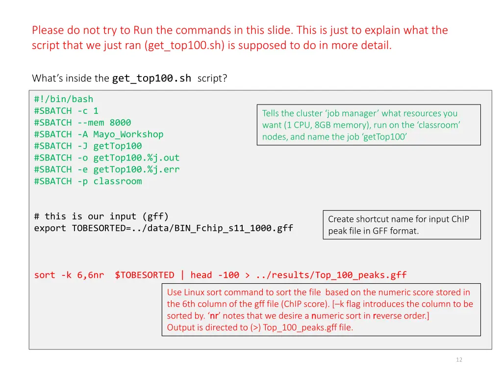 please do not try to run the commands in this