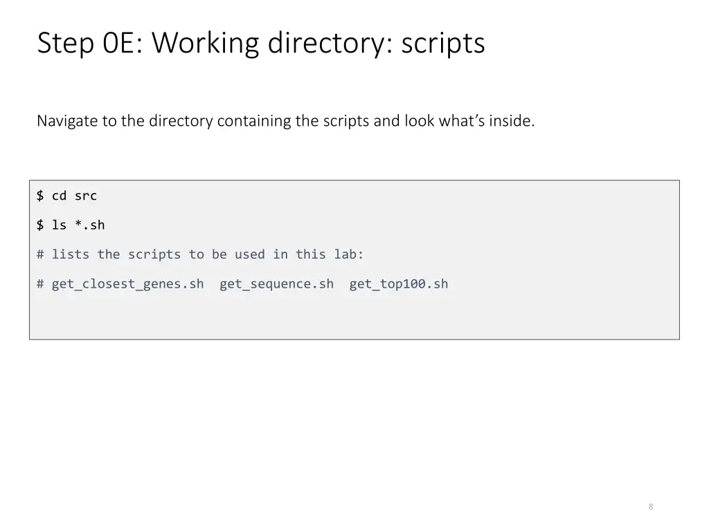 step 0e working directory scripts