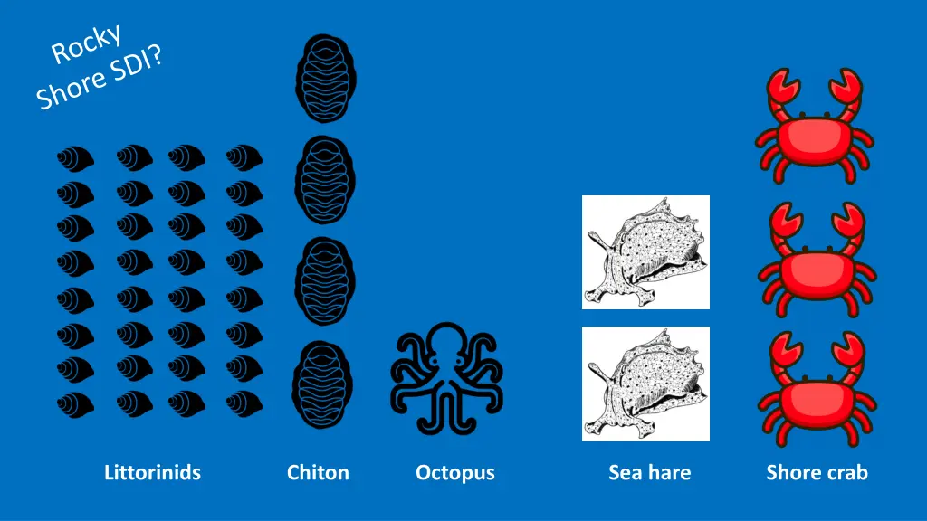sea snail icons free svg png sea snail images