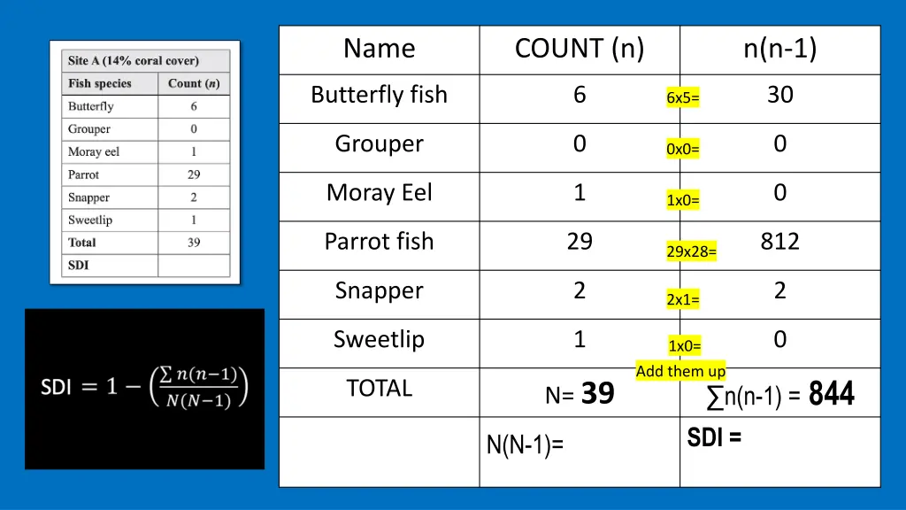 slide11