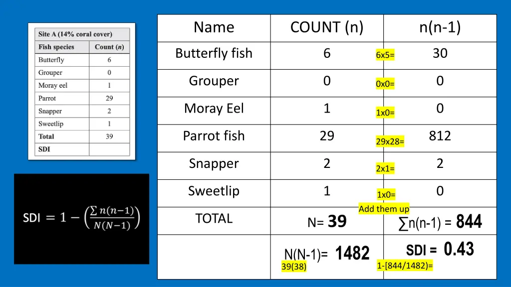 slide13