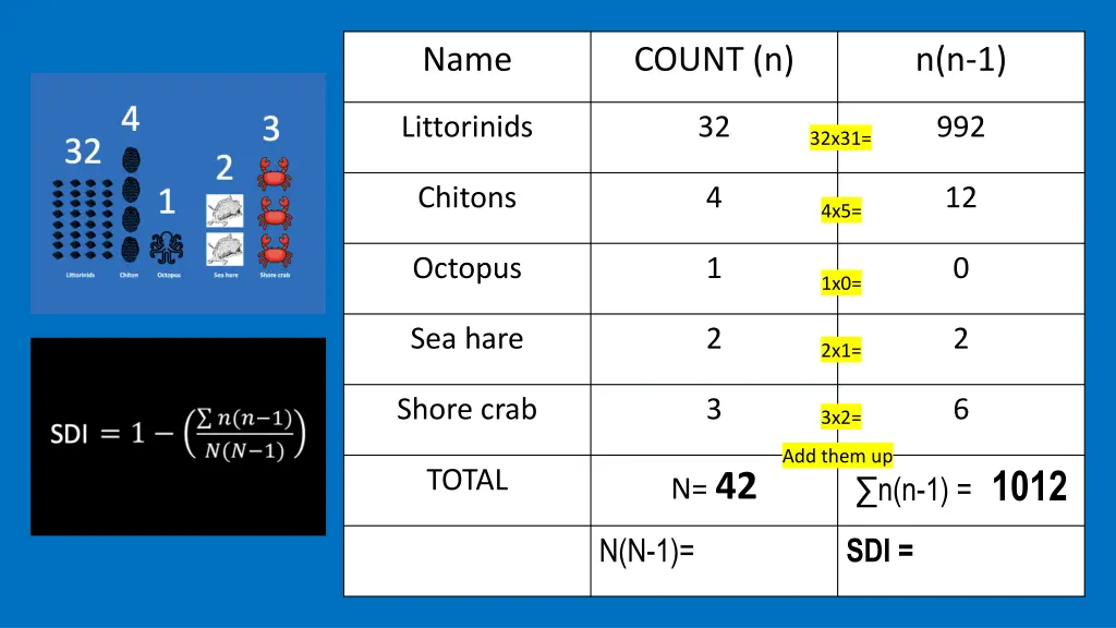 slide5