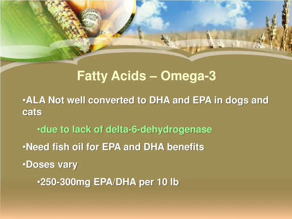 fatty acids omega 3 1
