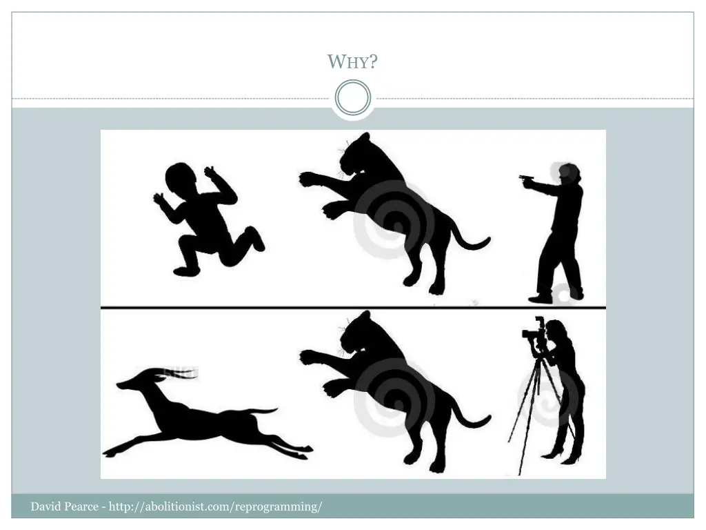 slide7