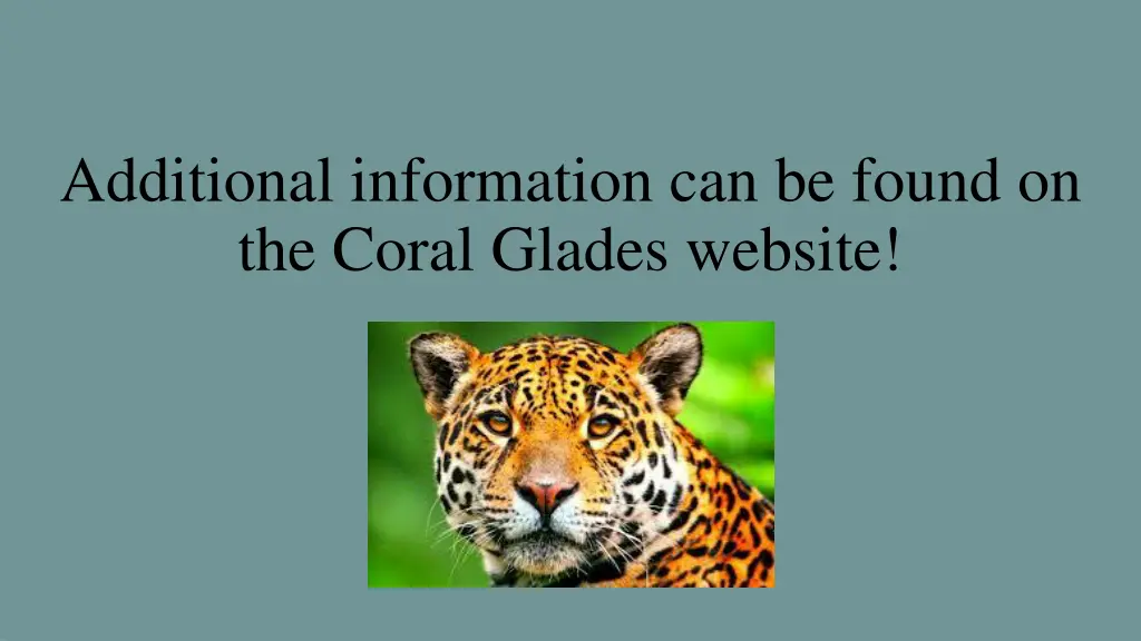 additional information can be found on the coral 1
