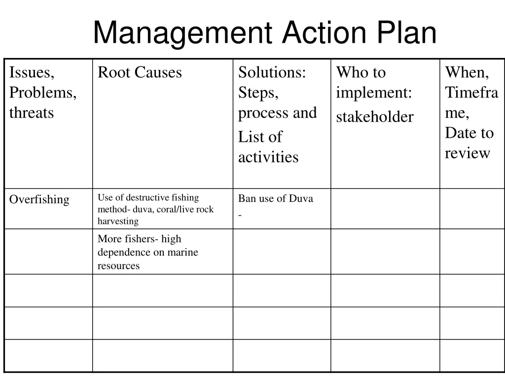 management action plan