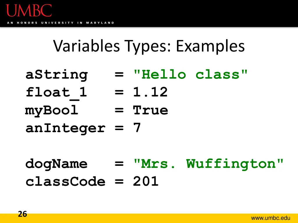 variables types examples