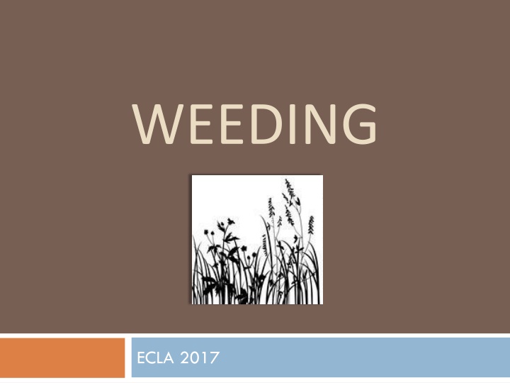 weeding