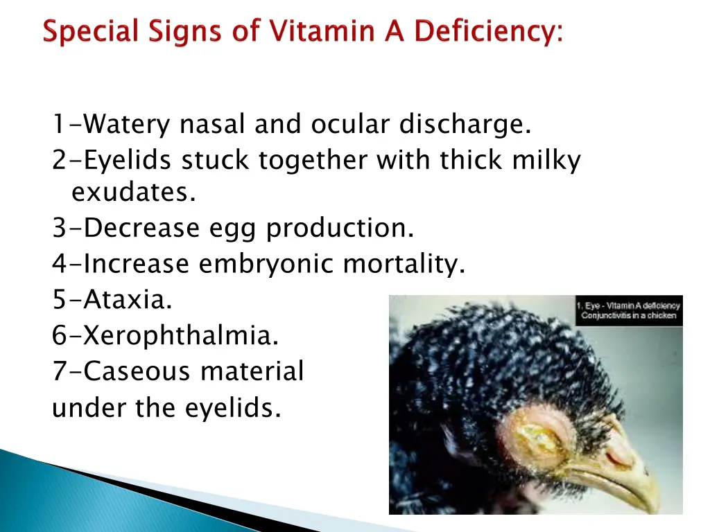 1 watery nasal and ocular discharge 2 eyelids