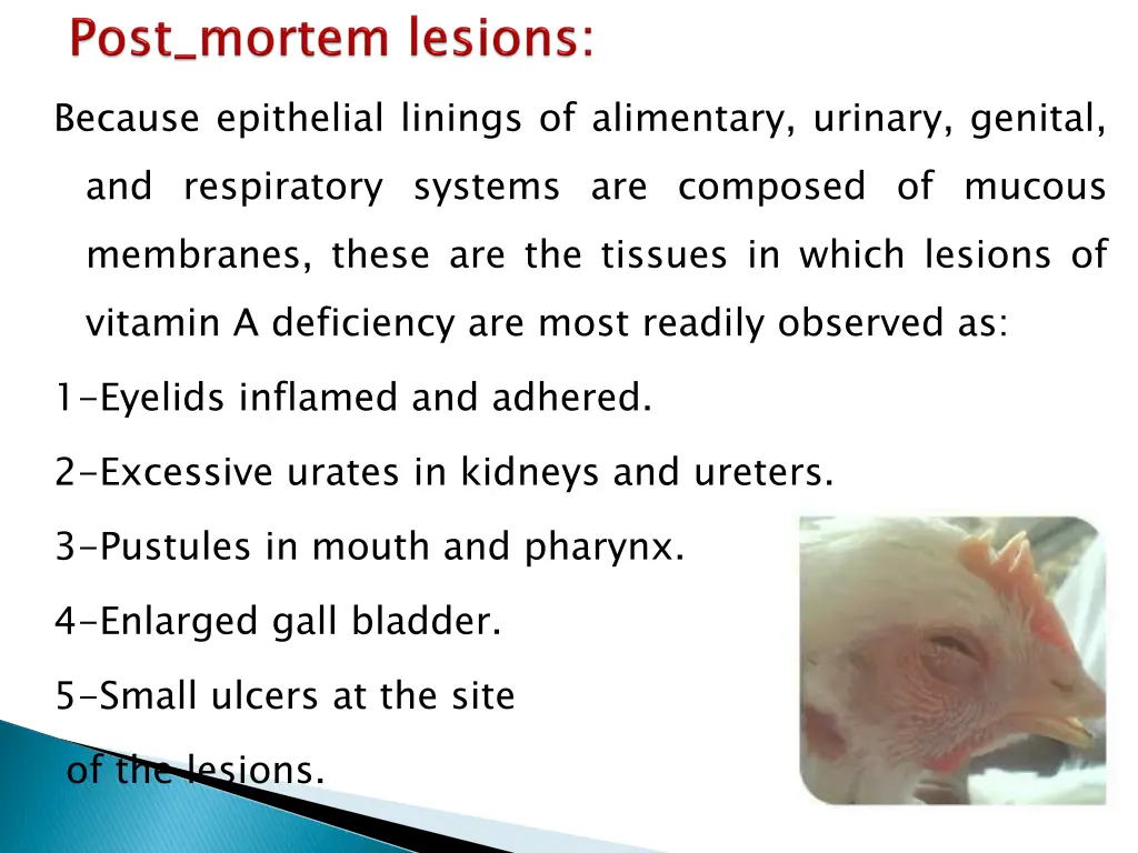 because epithelial linings of alimentary urinary
