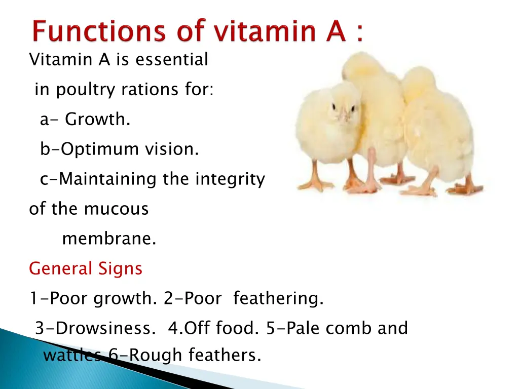 vitamin a is essential in poultry rations