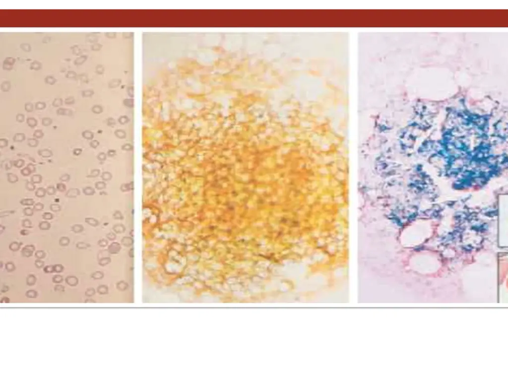 diagnosislaboratory investigations