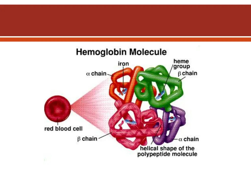 slide11