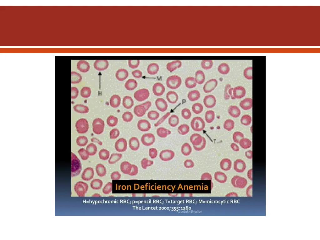 slide40