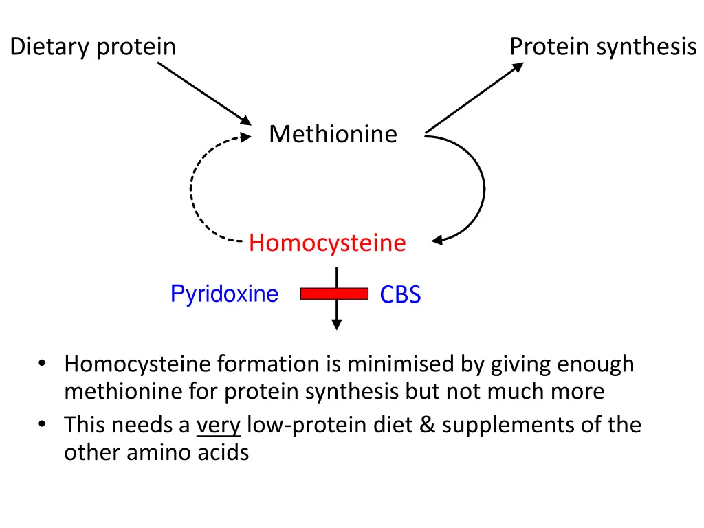 dietary protein