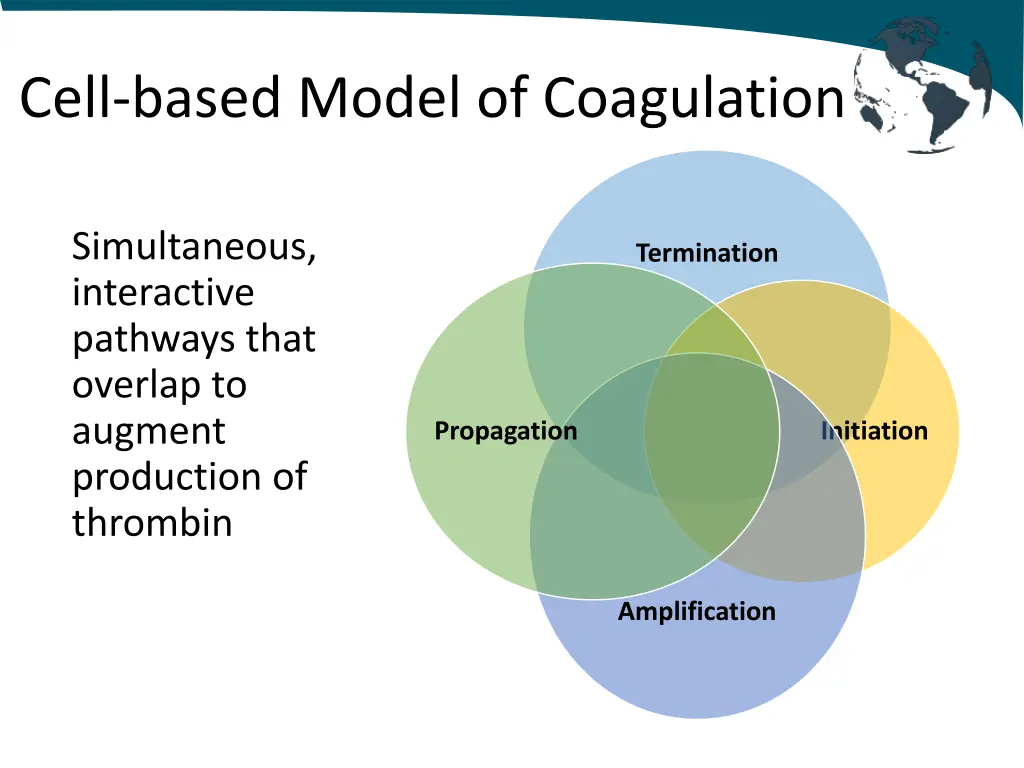 cell based model of coagulation