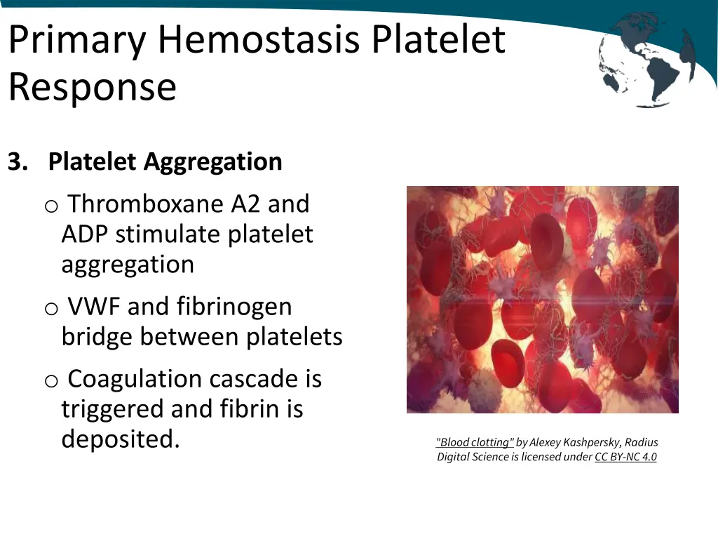 primary hemostasis platelet response 3