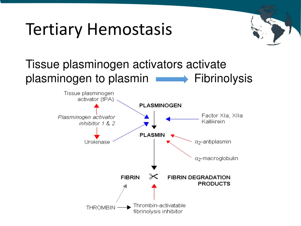 tertiary hemostasis