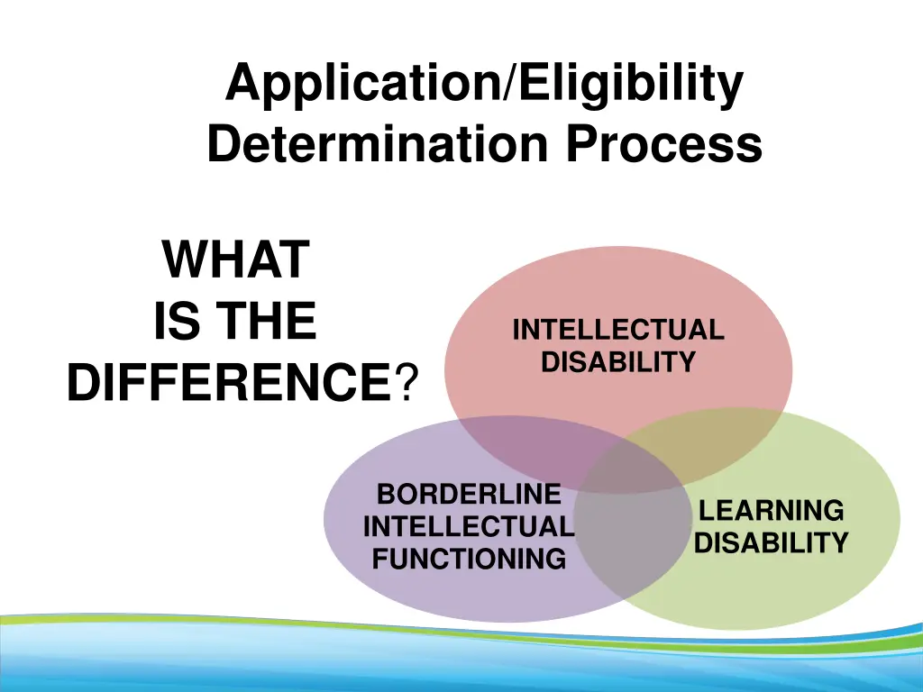 application eligibility determination process 12