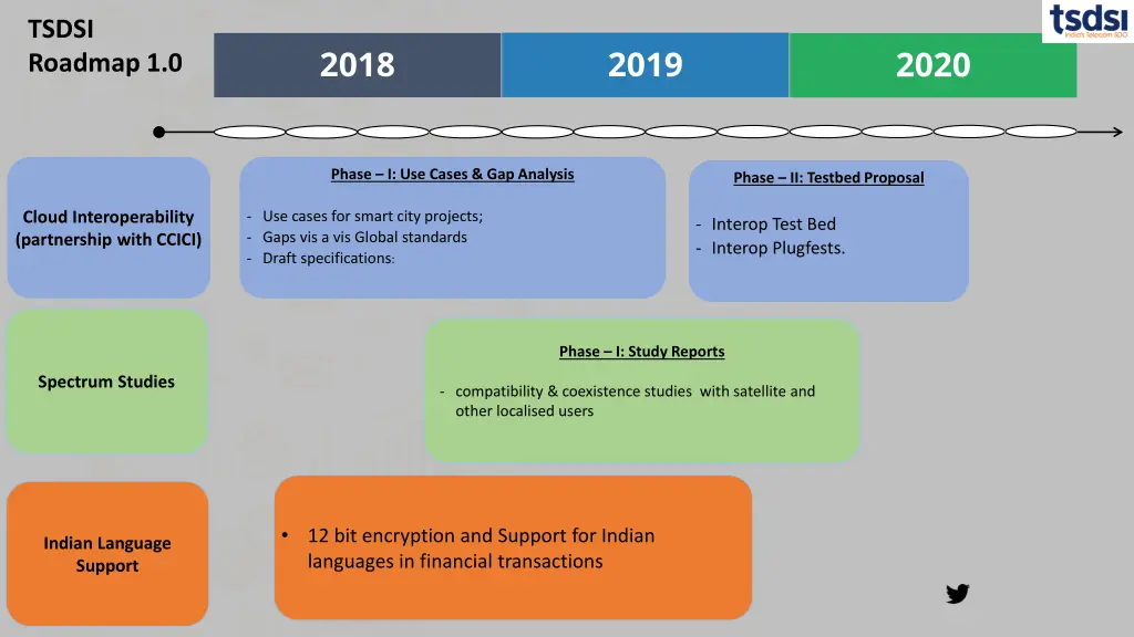 tsdsi roadmap 1 0 1