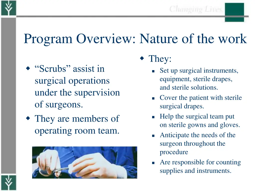 program overview nature of the work