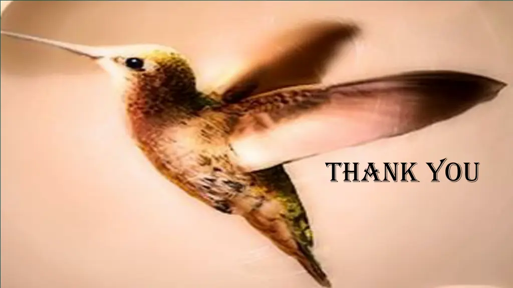 thank you