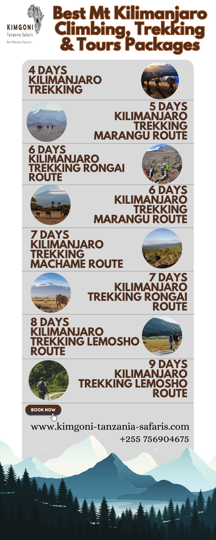 best mt kilimanjaro climbing trekking tours